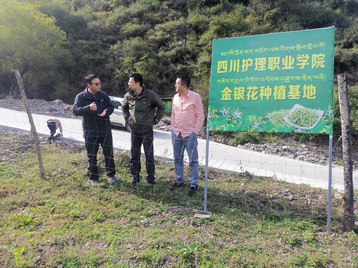 E3744D857BBA72E133A2034191ABFA83 E3744D857BBA72E133A2034191ABFA83